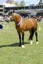 tues11013_356