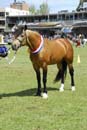 tues11013_357