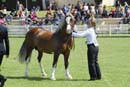 tues11013_358