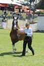 tues11013_363