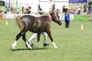tues11013_369