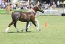 tues11013_370