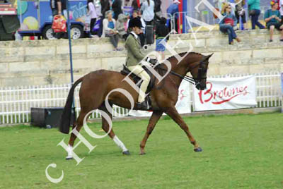 tues11013_554