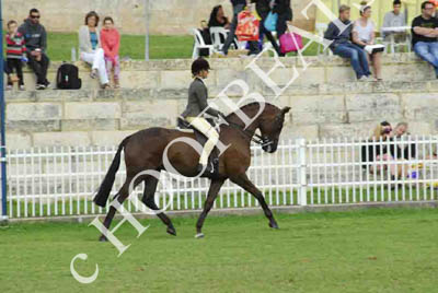 tues11013_555