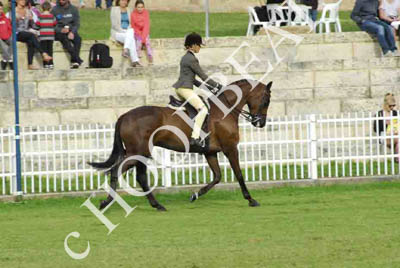tues11013_556