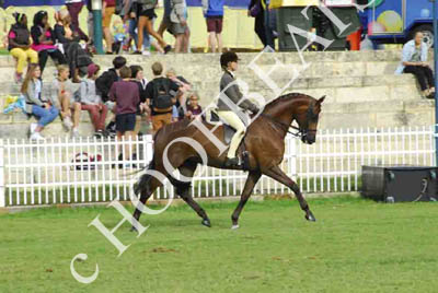 tues11013_557