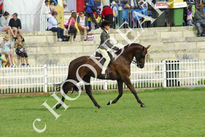 tues11013_558
