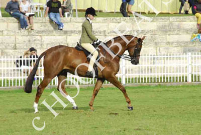 tues11013_559