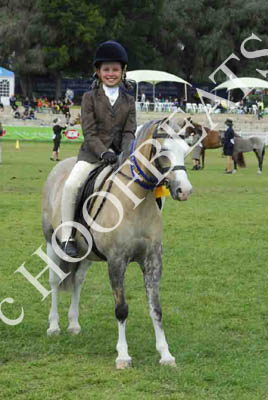 tues11013_564