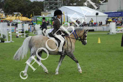 tues11013_565