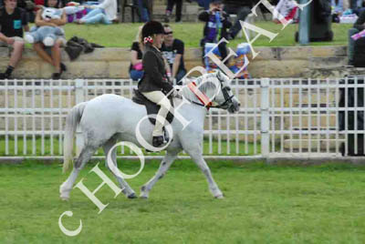 tues11013_566