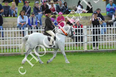 tues11013_567