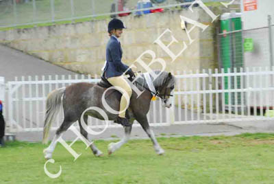 tues11013_568