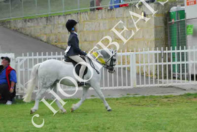 tues11013_569