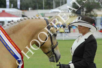 tues11013_576
