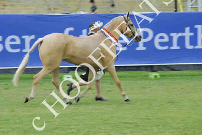 tues11013_577