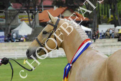 tues11013_579