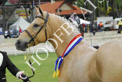 tues11013_580