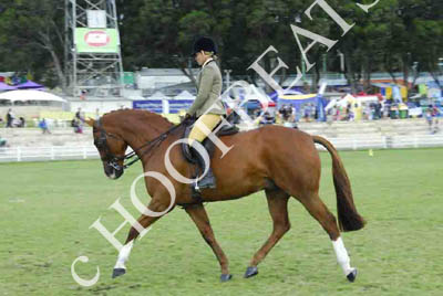 tues11013_581