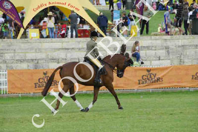 tues11013_583