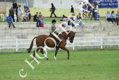 tues11013_584