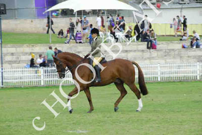 tues11013_585