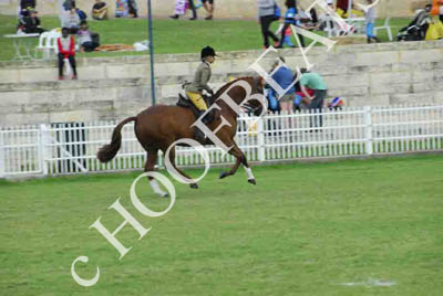 tues11013_586