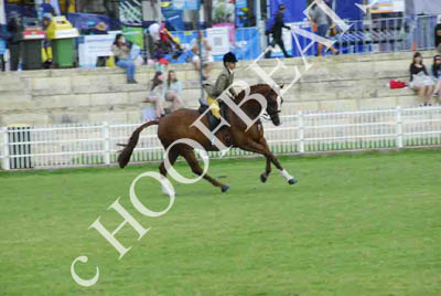 tues11013_588