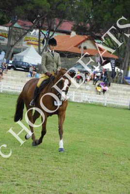 tues11013_589