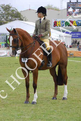 tues11013_592