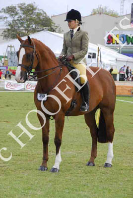 tues11013_593