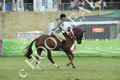 tues11013_603