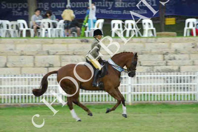 tues11013_605