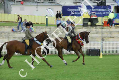 tues11013_608