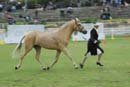 tues11013_574