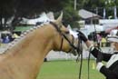 tues11013_575