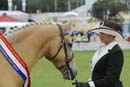 tues11013_576