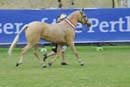 tues11013_577