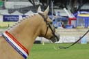 tues11013_578