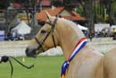 tues11013_579