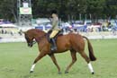 tues11013_581
