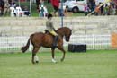 tues11013_582