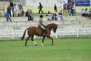 tues11013_584