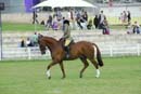 tues11013_585