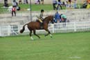 tues11013_586