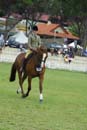 tues11013_589