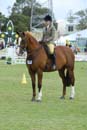 tues11013_590