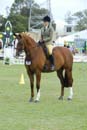 tues11013_591