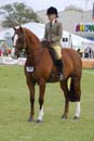 tues11013_593