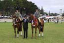 tues11013_598